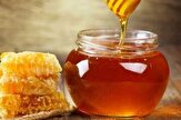 تولید عسل لرستان به ۴ هزار و ۵۰۰ تن در سال افزایش می یابد