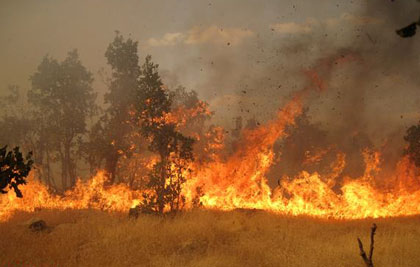 45 هکتار از جنگلها و مراتع گیلانغرب در آتش سوخت