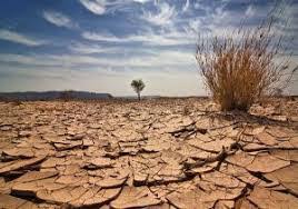 ۵۵ درصد اراضی استان سمنان را نواحی بیابان و خشک تشکیل می‌دهد