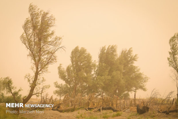وزش باد شدید برخی از مناطق سیستان و بلوچستان را دربر می‌گیرد