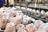معاون توسعه بازرگانی جهاد کشاورزی کرمانشاه:
کرمانشاه روزانه ۱۵۰ تن مرغ نیاز دارد