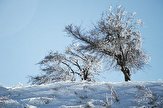 یخبندان و هوای سرد در زنجان همچنان ادامه دارد