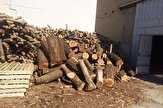 ایران سالانه به ۱۰ میلیون متر مکعب واردات چوب نیاز دارد