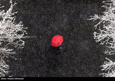 تصاویر منتخب روزهای برفی تهران