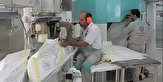 در تامین سهمیه آرد واحدهای نانوایی در استان آذربایجان‌غربی مشکلی وجود ندارد