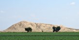 کشت محصولات کشاورزی موجب ناپدید شدن تپه‌های باستانی دزفول شد