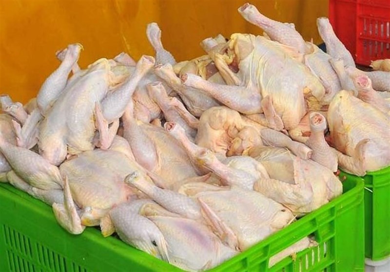 روزانه ۵۰ تن مرغ مازاد بر مصرف استان لرستان خریداری و ذخیره‌سازی می‌شود