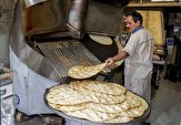 ۱۶ درصد از نانوایان استان قزوین متخلف شناخته شدند