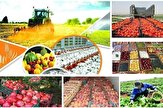 لزوم افزایش تعامل کشاورزان اصفهان و شرکت‌های دانش بنیان