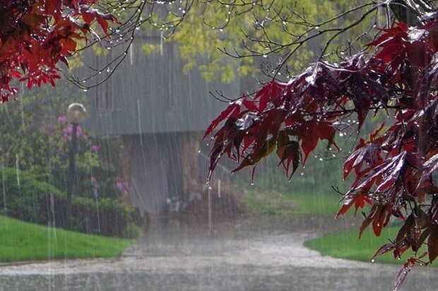 بیشترین میزان بارندگی در کهگیلویه و بویراحمد۹۵ میلی متر است