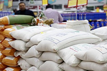 قیمت جدید انواع برنج در بازار | برنج هاشمی و طارم کیلویی چند شد؟
