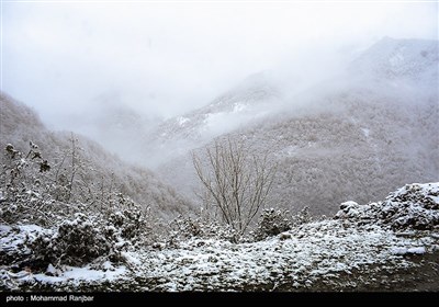 بارش برف در ارتفاعات گیلان 