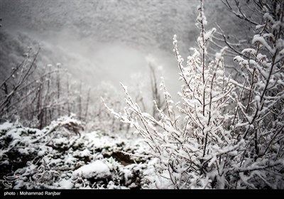 بارش برف در ارتفاعات گیلان