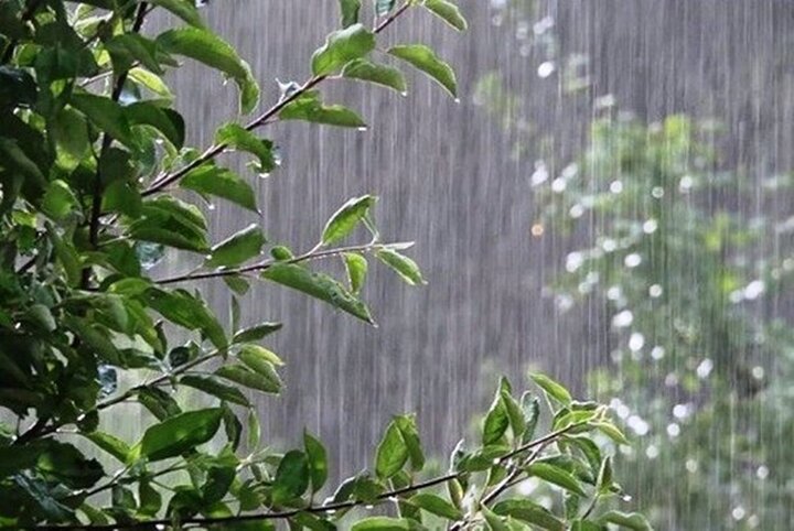 بارش ها در زنجان شدت می گیرد