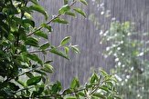 بارش ها در زنجان شدت می گیرد