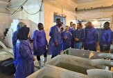 سفر هیئتی از شیلات سنگال به بوشهر برای دریافت دانش پرورش آبزیان