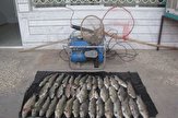 ۸.۶ هزار انواع صید و شکار غیرمجاز در آذربایجان غربی کشف شد