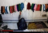 «بیمه» مهمترین مشکل قالیبافان استان کرمان است
