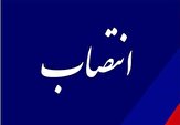 مدیرکل مدیریت بحران استان زنجان منصوب شد