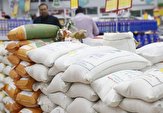 توزیع ۳۵۰۰ تن انواع برنج تنظیم بازار در سیستان و بلوچستان